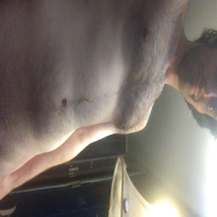 Just some shared oral. See what happens